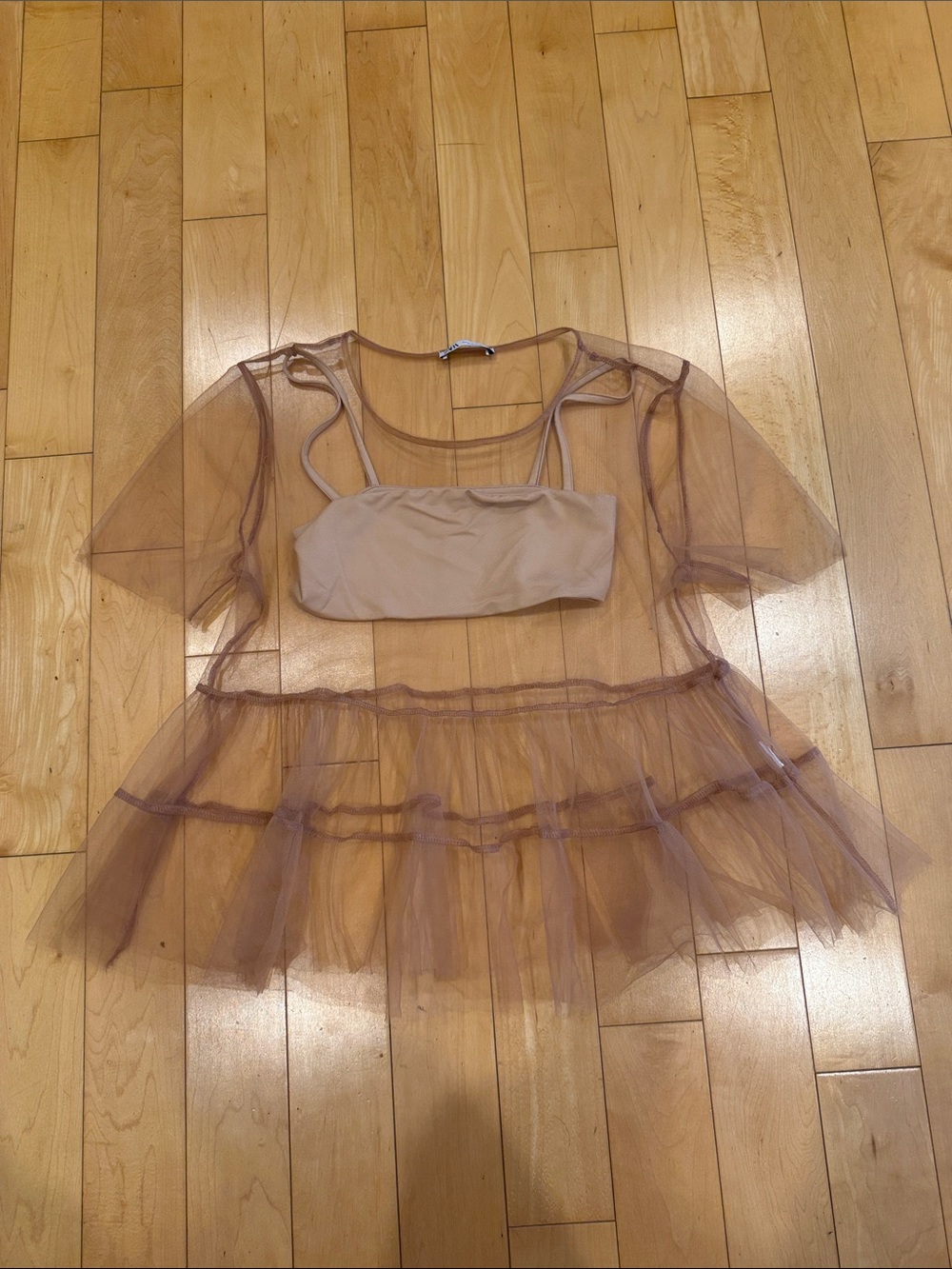 Zara Sheer Tan Mesh Top with Bralette
